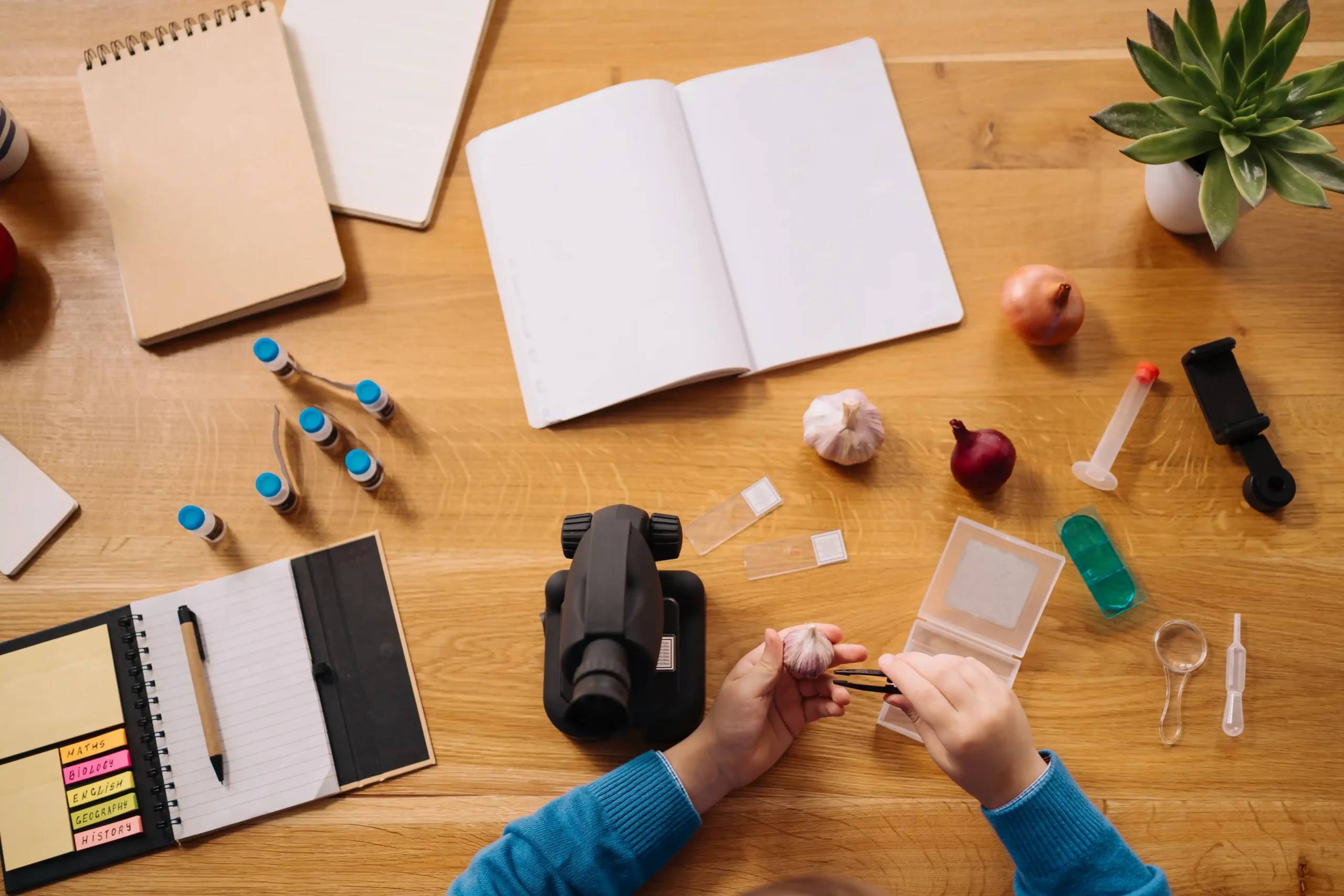 Best freelance web developer in Kerala